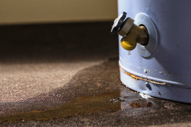 Water damage restoration mold remediation in Mokena, IL