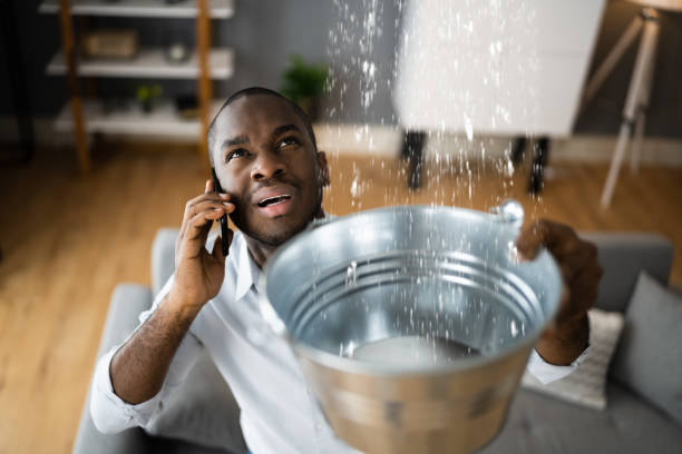 Best Flood restoration services  in Mokena, IL