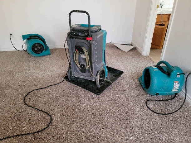 Best Emergency water damage restoration  in Mokena, IL