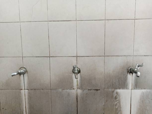  Mokena, IL Water damage restoration Pros