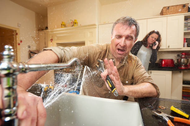 Best Basement water damage restoration  in Mokena, IL